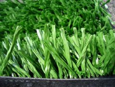 網絲足球人造草